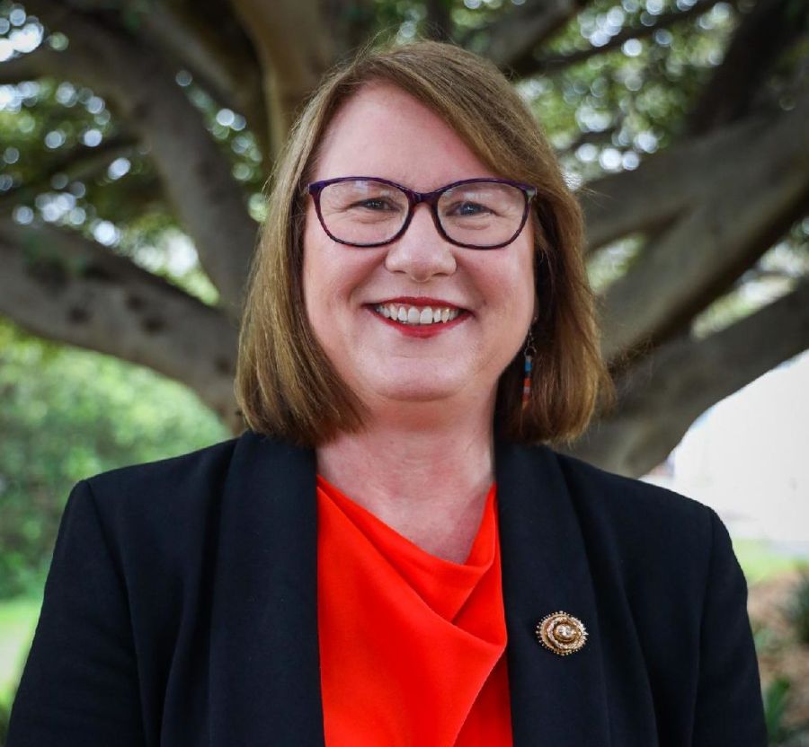 ELECTION UPDATE: Donna Davis set to be MP and Lord Mayor
