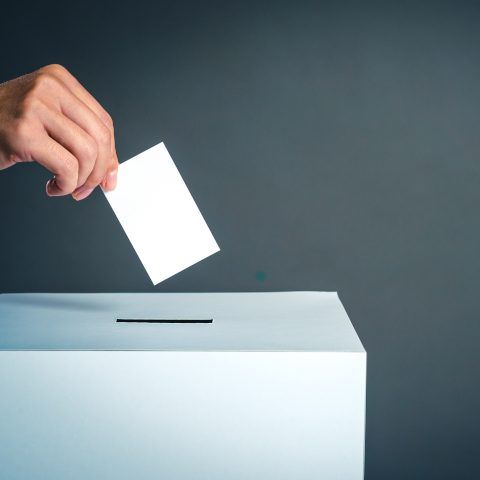 Council elections delayed due to COVID