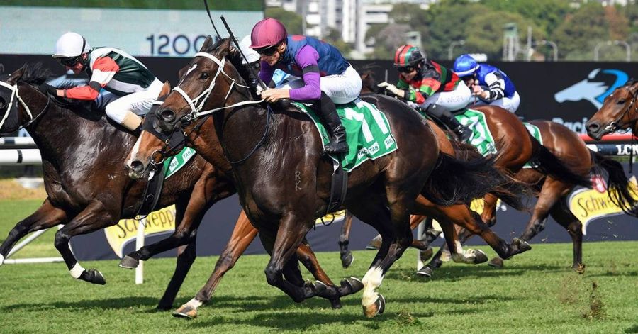 10-day festival of sport draws 250,000 fans to Western Sydney