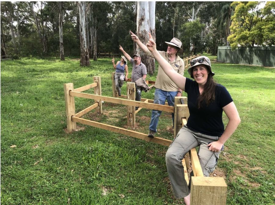 Haven for rare birds in the middle of Toongabbie