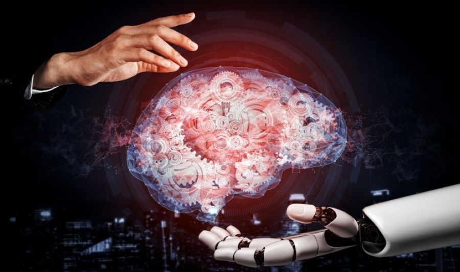Local doctors respond to AI Warning over patient diagnosis