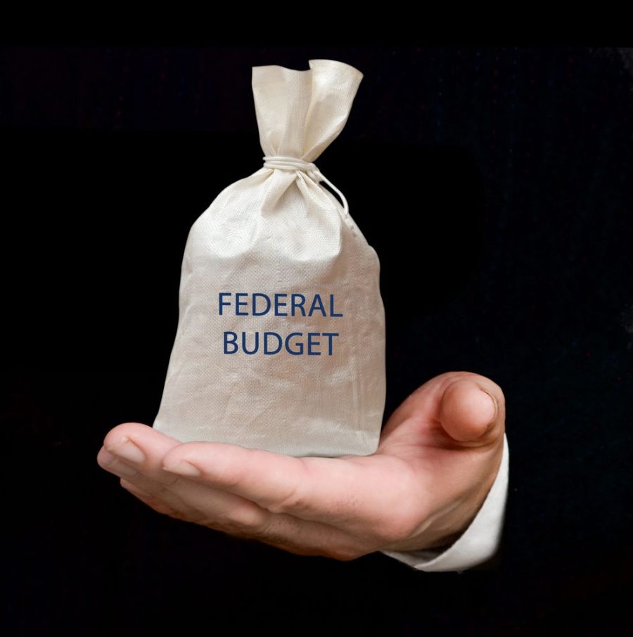 BUDGET 2020: Opportunity missed