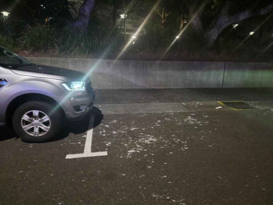 Driver challenges hefty $722 Olympic Park parking fine